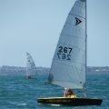 DSCF1391