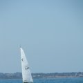 DSCF1453