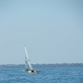 DSCF1458