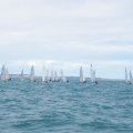 IMGP1559