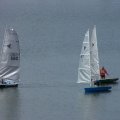 100_7825 (Medium)_726_544_90