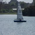 100_7847 (Medium)_726_544_90