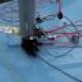 100_7787 (Medium)_80_60_80