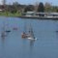 100_7815 (Medium)_80_60_80