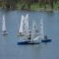 100_7821 (Medium)_80_60_80