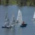 100_7822 (Medium)_80_60_80