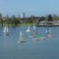 100_7824 (Medium)_80_60_80