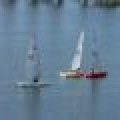 100_7828 (Medium)_80_60_80