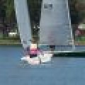 100_7838 (Medium)_80_60_80