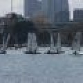 100_7860 (Medium)_80_60_80