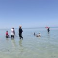 DSCF5019