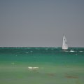 DSC_0161