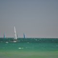 DSC_0176