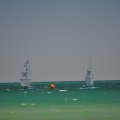 DSC_0184