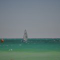 DSC_0220