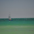 DSC_0222