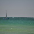 DSC_0224