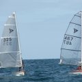 2010_0103henley09100152_726_544_90
