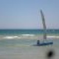 P1310887_80_60_80