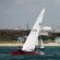 mini-IMG_10127_80_55_80