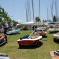 mini-IMG_2572