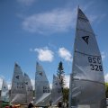 mini-IMG_2574