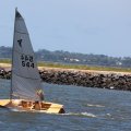mini-IMG_2611