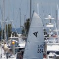 mini-IMG_2612