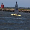 mini-IMG_2617