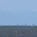 mini-IMG_2624