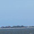 mini-IMG_2647