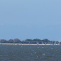 mini-IMG_2648