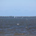 mini-IMG_2653