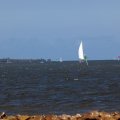 mini-IMG_2658
