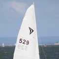 mini-IMG_2688