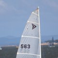 mini-IMG_2692