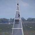 mini-IMG_2699