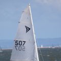 mini-IMG_2700