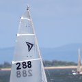 mini-IMG_2701