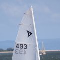 mini-IMG_2702