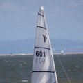 mini-IMG_2708