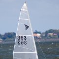 mini-IMG_2709