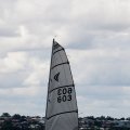 mini-IMG_2719