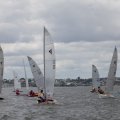 mini-IMG_2733