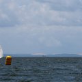 mini-IMG_2896