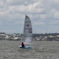 mini-IMG_2908