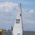 mini-IMG_2918