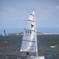 mini-IMG_2674_726_1089_90