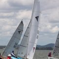 mini-IMG_2836_726_888_90