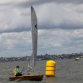 mini-IMG_2866_726_660_90